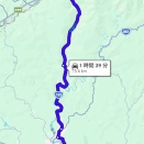 大野の一本桜を見てきた。