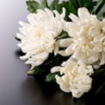 ミャンマーに思いを寄せて