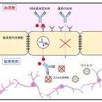 サイエンスジャーナル
