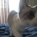 ������Ʀ���Ԥ������������������٤����Ƥ�ʢ���������������Ƥ�(��) ������ʤ�ǡ����λ��֤Ǥ⤪ʢ�⸺�餺(��)