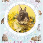 SNOWDROP.n&kのサクサク日記