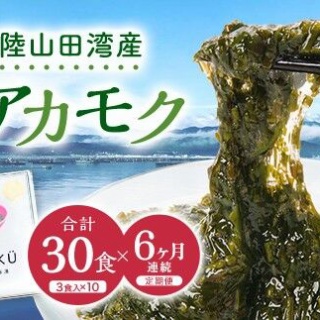 山田とことこ日記