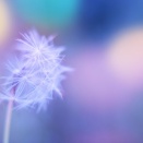 普通の人でありたくない！何者かになりたい！！...そう思っている人に、伝えたいこと＊