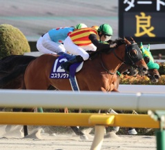 コスタノヴァ（26/02/22・第43回 フェブラリーステークス・東京競馬場）