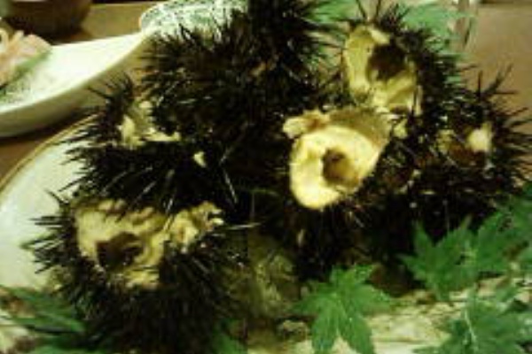 盛岡の居酒屋 福寿丸