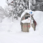 ふるさとの風景・・・棚田の里