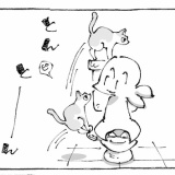 うちの犬のルカ。【８８】