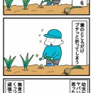 2017年4月新玉収穫