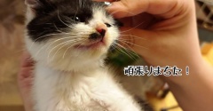 爪切りなのだ！DAY1
