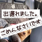 メルロコ一家の横須賀ストーリー