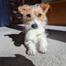 １００均は１００均