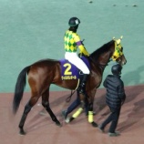 『【遠征結果】②ウィルオレオール(牡3=小国博行厩舎)が地方最先着の3着! 第51回ブルーバードカップ〔JpnⅢ〕』の画像