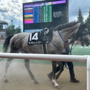 ドラマ「ザ・ロイヤルファミリー」を見終えて