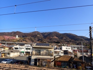 高松山〜松田山〜まつだ桜まつり