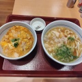 なか卯の『鶏塩うどん』と『親子丼』のコンビが最高。飯田市『なか卯　飯田上郷店』