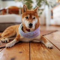 EF-Rマウントアダプター