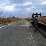 トリと自転車と私