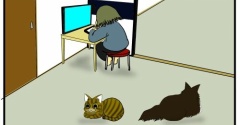 【猫との暮らし】不思議と空気を読む猫たち
