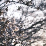 『嫌だけど、たまには思い出して気を引き締める』の画像