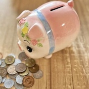 【画像】貯金趣味にしようと思う