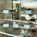 続いて欲しいお店　レストラン中里