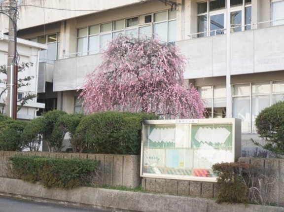 2026年2月の交野タイムズは15万1362PV