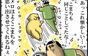 犬なのでは？って瞬間ありすぎる猫