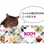 猫の額ほどの徒然日記