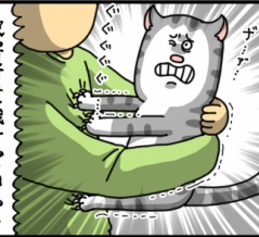 抱っこ嫌いの猫を抱っこする方法キタ