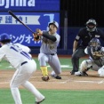 阪神・嶋村麟士朗がうれしいプロ初安打！8回代打でDeNA・伊勢のフォークに食らいつき右前へ