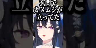 【ぶいすぽ】玄関でカメムシと戦った話をするのせさんw