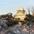 抗がん剤のお薬と注射の治療から一年