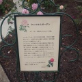 夏前のお礼肥頑張ってます♪