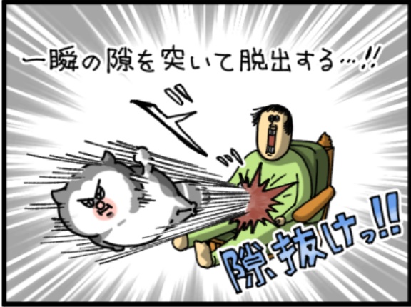 うちの猫の必殺技3選