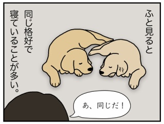 エフ漫画『寝相アート』