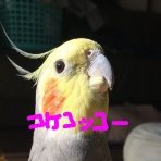 誕ちゃんのひとり言