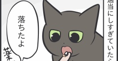 ついに投薬に気づいてしまった猫