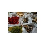 『時間堂WIPは老若男女にひらかれています』の画像