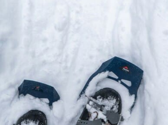 ド定番のミレーサースフェー40+5を買った