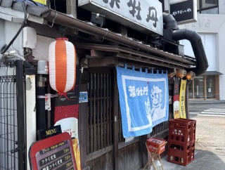 再びの　葉牡丹（はぼたん）【高知県高知市】