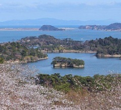 海外「仙台から行った松島が凄かった！」日本で一番良かった日帰り旅行先に対する海外の反応