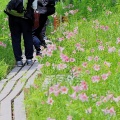 高清水自然公園と大内宿