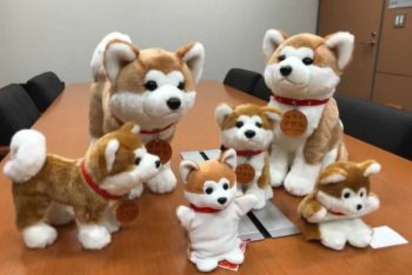 ｘｘニュース 秋田県