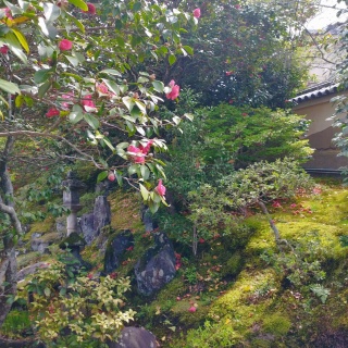 意識改革最前線の日々