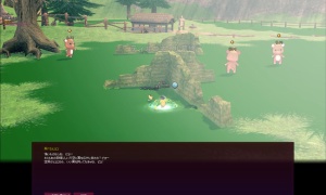 ピヨコンパクトの衣装一覧