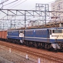 高速貨物列車牽引機　EF65500番台　F形（2）