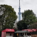 日帰り撮影2025-12月（２）