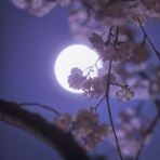 高校生毎日ブログなう
