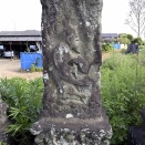 ２．千葉県野田市目吹175