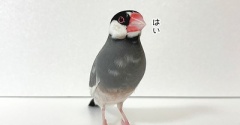 これは何頭身ですか？